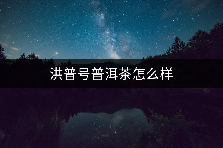 洪普號(hào)普洱茶怎么樣