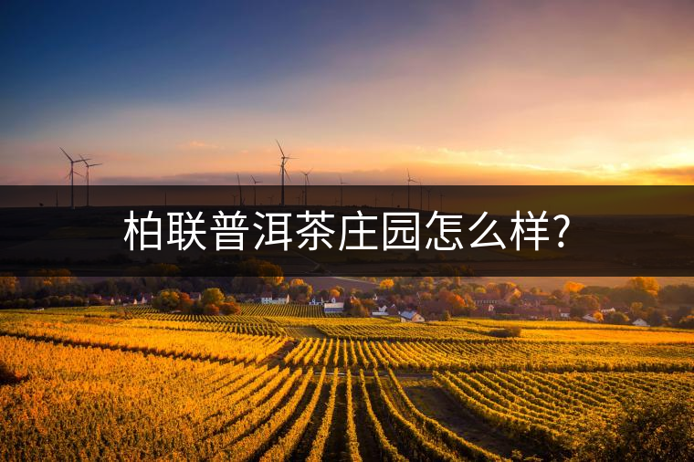 柏聯(lián)普洱茶莊園怎么樣?