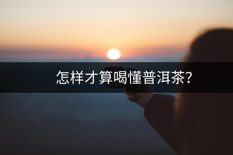 　怎樣才算喝懂普洱茶？