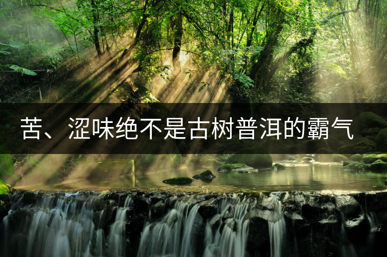 苦、澀味絕不是古樹(shù)普洱的霸氣，那也叫懂普洱茶，別逗了！