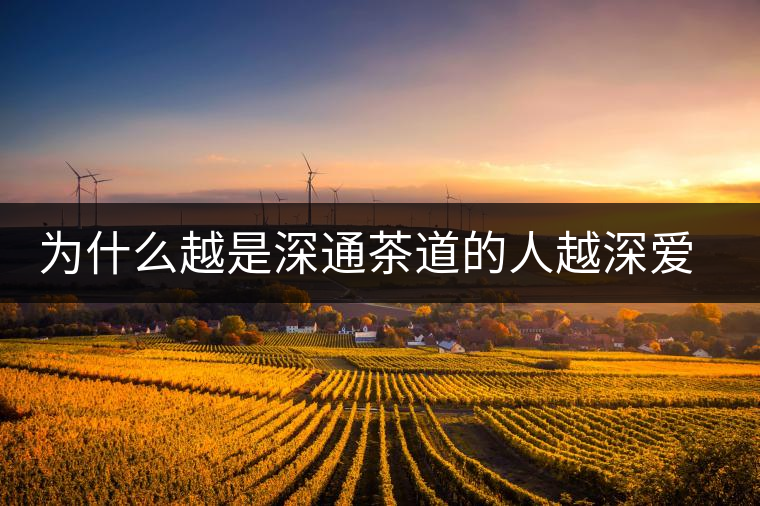 為什么越是深通茶道的人越深愛普洱茶？喜歡普洱茶，有三個(gè)原因。