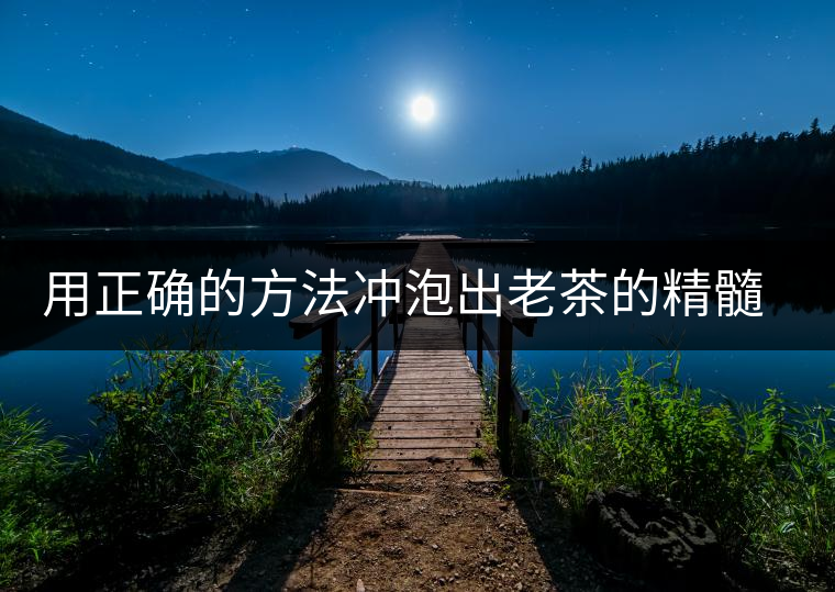 用正確的方法沖泡出老茶的精髓；評看普洱茶葉底也是一門手藝！