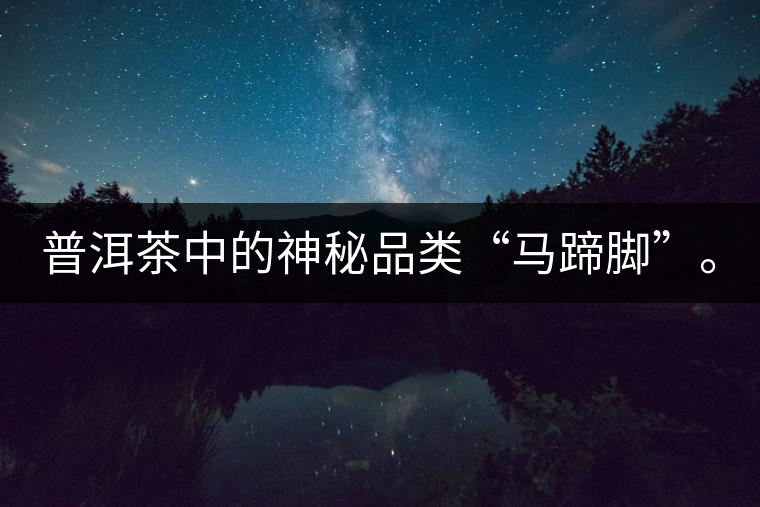 普洱茶中的神秘品類“馬蹄腳”。