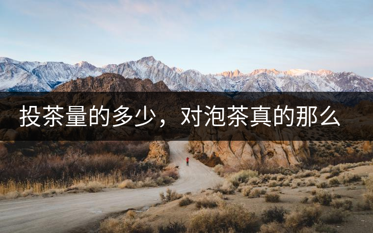投茶量的多少，對(duì)泡茶真的那么重要嗎？