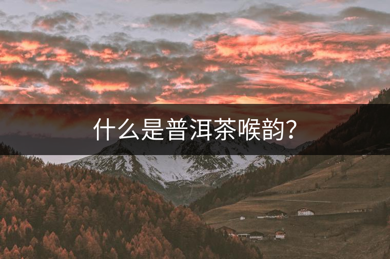 什么是普洱茶喉韻？