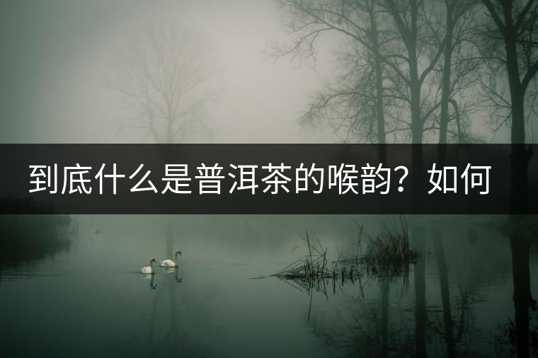 到底什么是普洱茶的喉韻？如何感受？