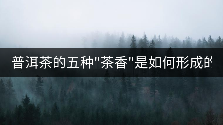 普洱茶的五種