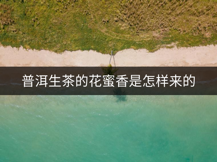 普洱生茶的花蜜香是怎樣來的 普洱生茶的花蜜香是怎樣來的