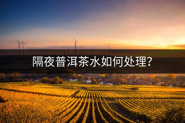 隔夜普洱茶水如何處理？