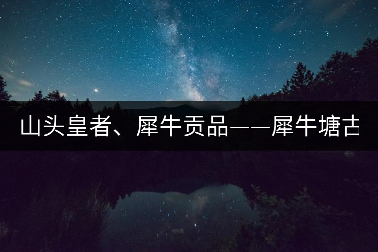 山頭皇者、犀牛貢品——犀牛塘古樹(shù)茶！