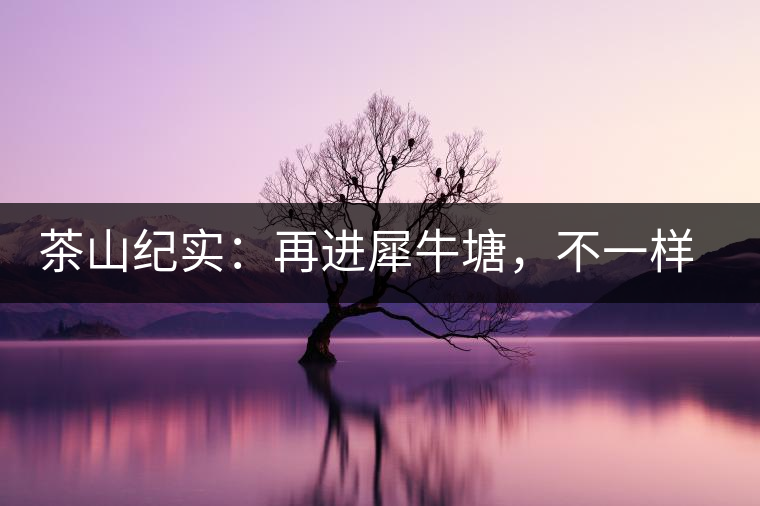 茶山紀(jì)實(shí)：再進(jìn)犀牛塘，不一樣的感覺；菁瑤可以預(yù)見的豐收年