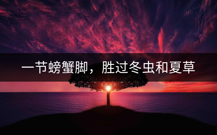 一節(jié)螃蟹腳，勝過(guò)冬蟲(chóng)和夏草
