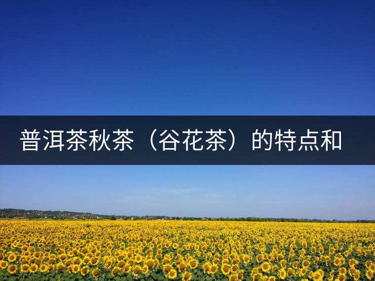 普洱茶秋茶（谷花茶）的特點(diǎn)和鑒別