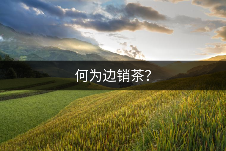 何為邊銷茶？