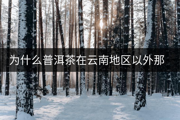 為什么普洱茶在云南地區(qū)以外那么受歡迎？