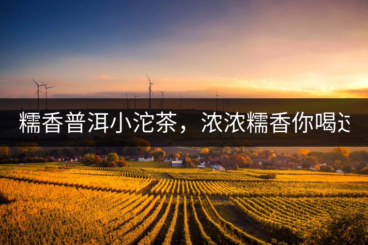 糯香普洱小沱茶，濃濃糯香你喝過(guò)嗎？