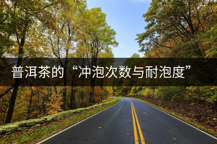 普洱茶的“沖泡次數(shù)與耐泡度”，你都了解嗎？