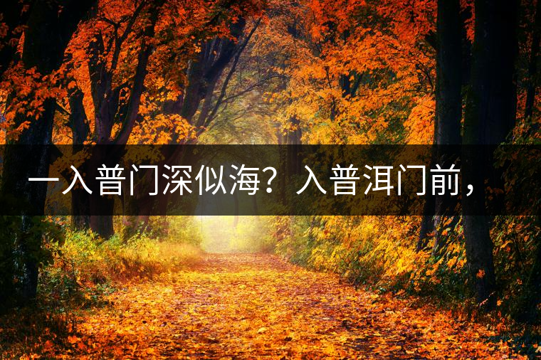 一入普門深似海？入普洱門前，你需要了解這些
