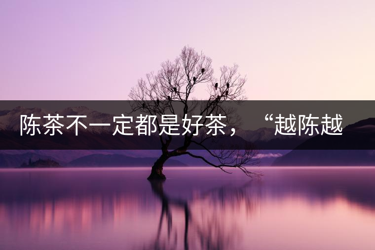 陳茶不一定都是好茶，“越陳越香”也要看茶種類！