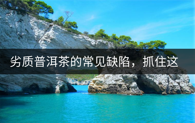 劣質(zhì)普洱茶的常見缺陷，抓住這三個特征，拒絕劣質(zhì)茶！