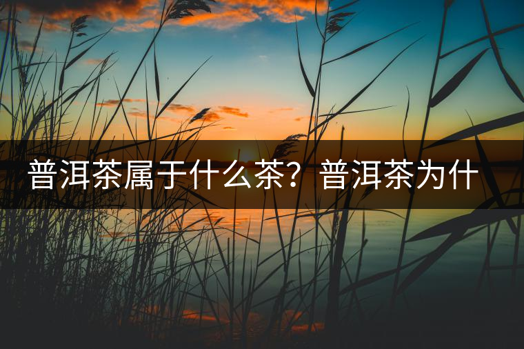 普洱茶屬于什么茶？普洱茶為什么會(huì)越陳越香？