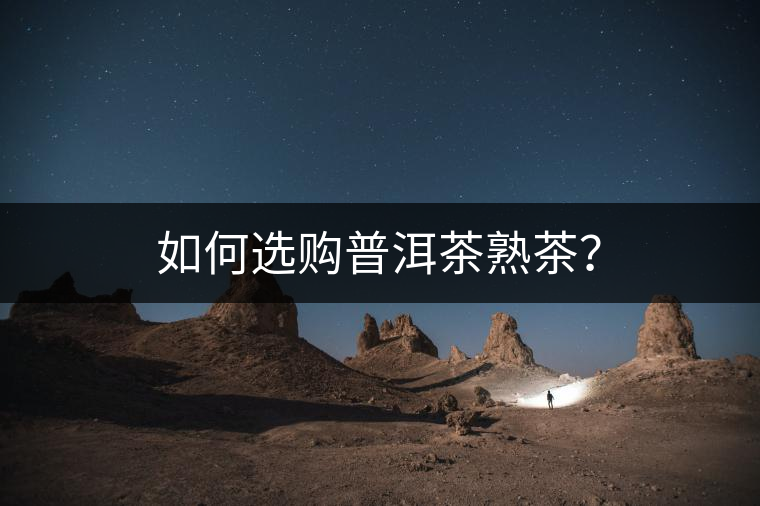 如何選購普洱茶熟茶？