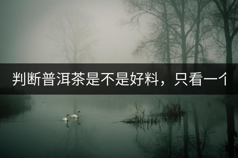 判斷普洱茶是不是好料，只看一個(gè)地方！