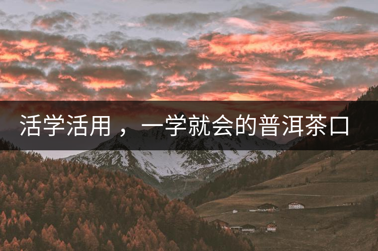 活學(xué)活用 ，一學(xué)就會(huì)的普洱茶口感術(shù)語(yǔ)