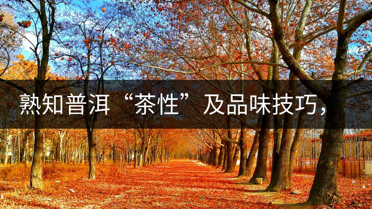熟知普洱“茶性”及品味技巧，方能品出好茶