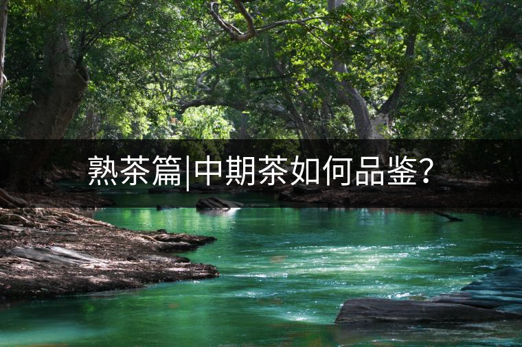 熟茶篇|中期茶如何品鑒？