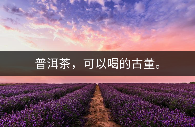 普洱茶，可以喝的古董。