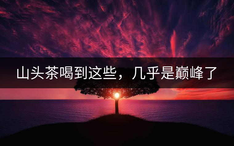 山頭茶喝到這些，幾乎是巔峰了