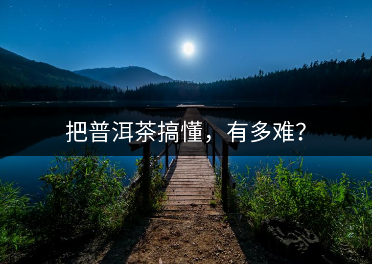 把普洱茶搞懂，有多難？