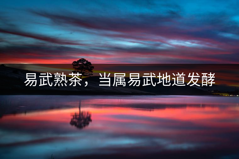 易武熟茶，當屬易武地道發(fā)酵