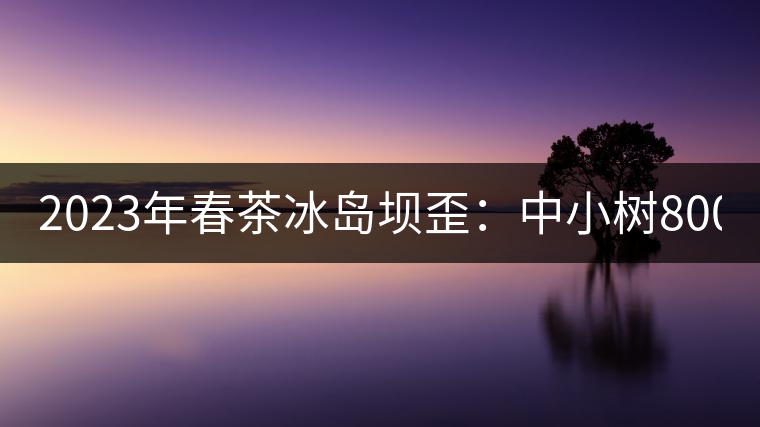 2023年春茶冰島壩歪：中小樹800元／公斤，古樹1400-1600元／公斤