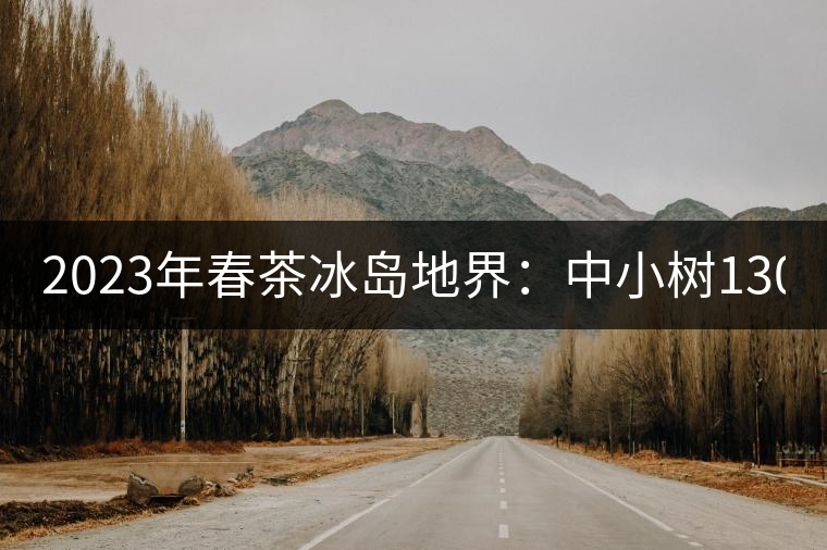 2023年春茶冰島地界：中小樹1300-1500元／公斤，古樹2200~2500元／公斤