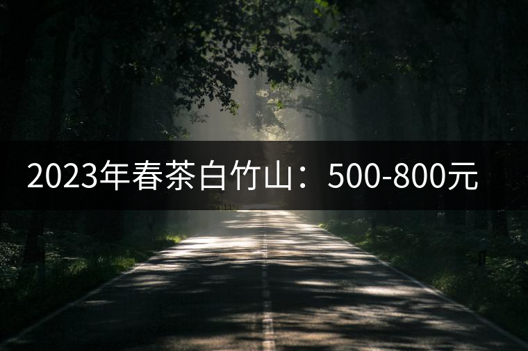 2023年春茶白竹山：500-800元／公斤