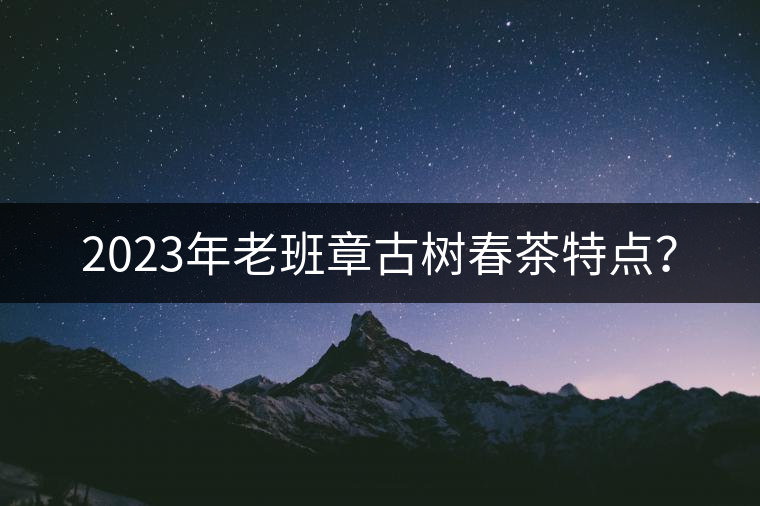 2023年老班章古樹春茶特點(diǎn)？