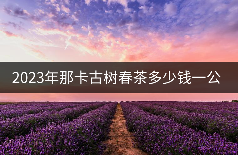2023年那卡古樹春茶多少錢一公斤？