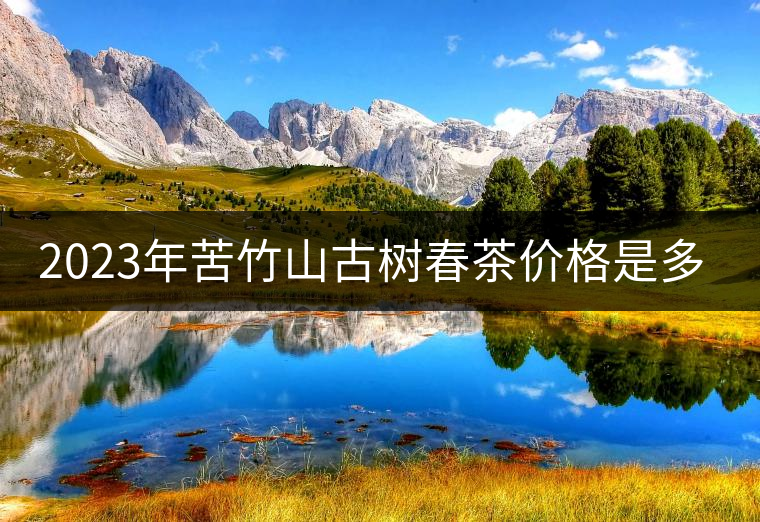 2023年苦竹山古樹春茶價格是多少？