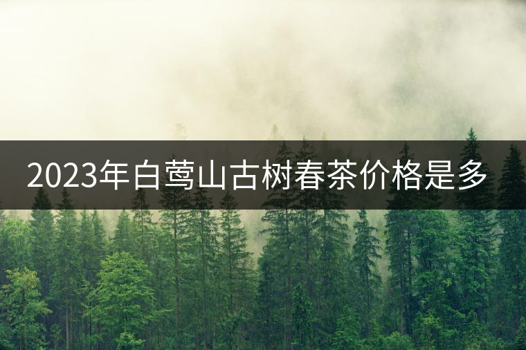 2023年白鶯山古樹春茶價格是多少？