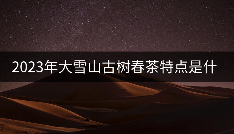 2023年大雪山古樹春茶特點(diǎn)是什么？