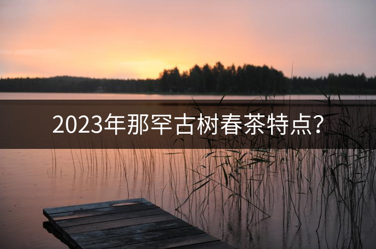 2023年那罕古樹春茶特點(diǎn)？