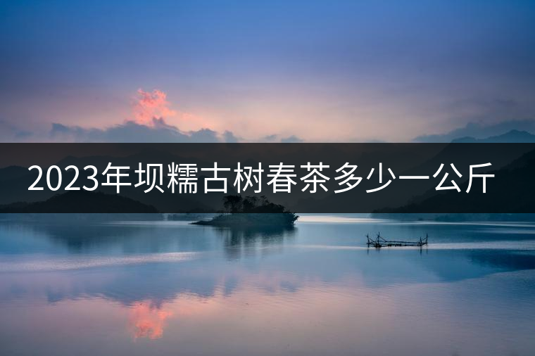 2023年壩糯古樹春茶多少一公斤？