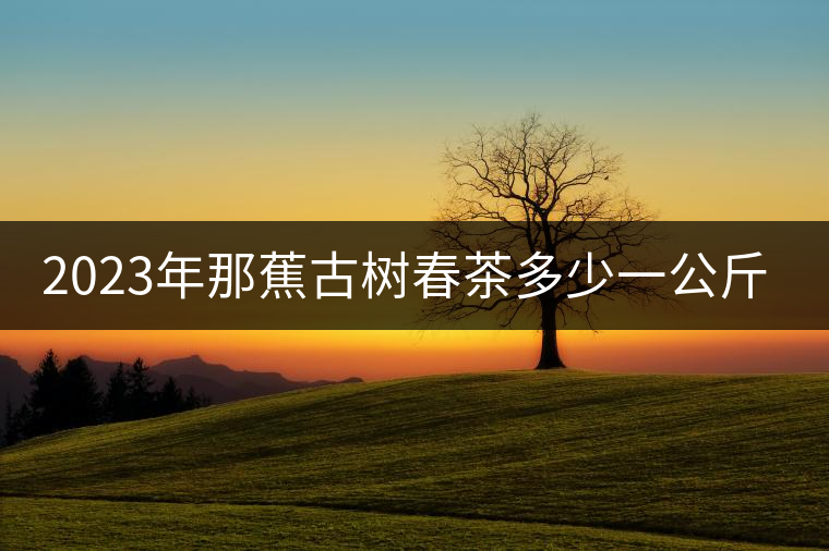 2023年那蕉古樹春茶多少一公斤？