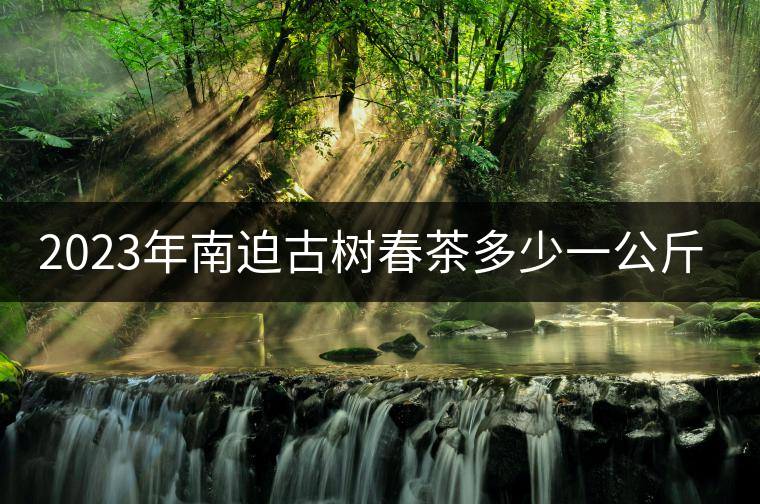 2023年南迫古樹春茶多少一公斤？