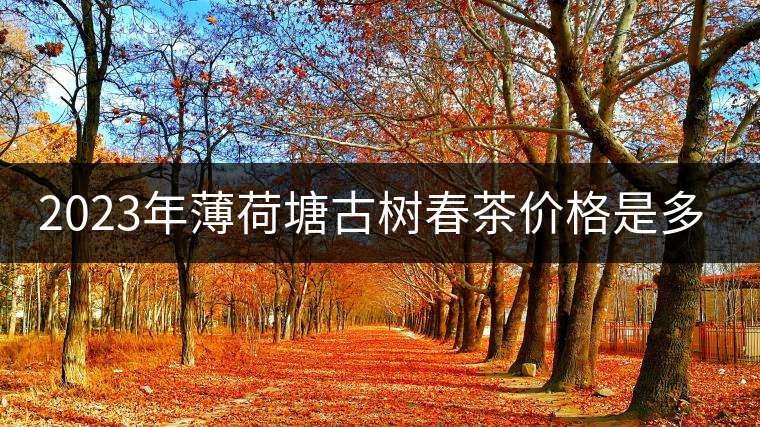 2023年薄荷塘古樹(shù)春茶價(jià)格是多少？