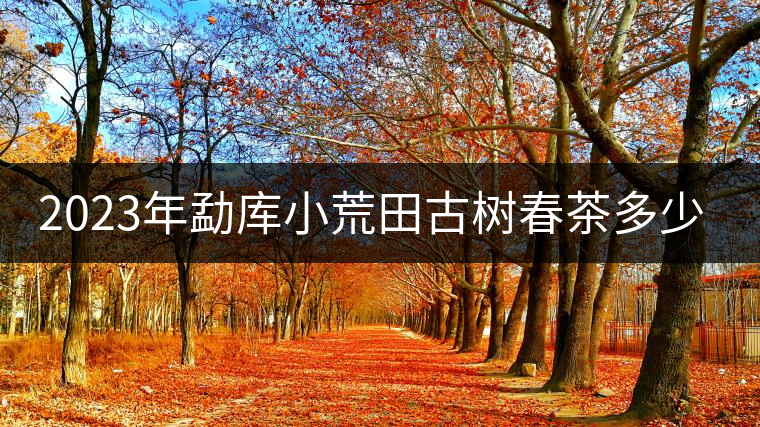 2023年勐庫(kù)小荒田古樹春茶多少一公斤？