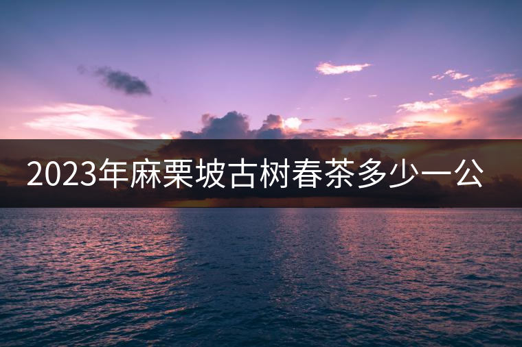 2023年麻栗坡古樹春茶多少一公斤？