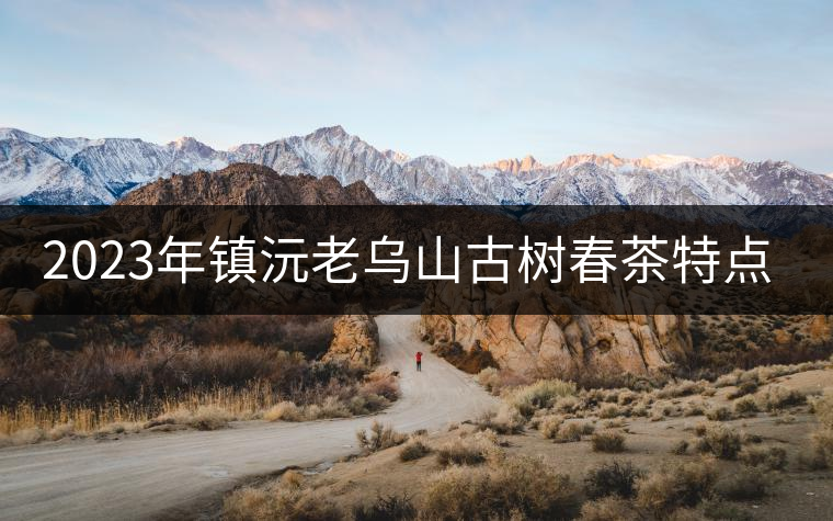 2023年鎮(zhèn)沅老烏山古樹春茶特點是什么？